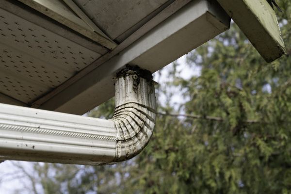 Cost of Roof Drain Replacement in Willoughby